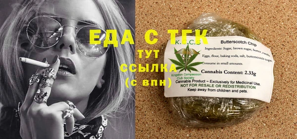шишки Верхний Тагил