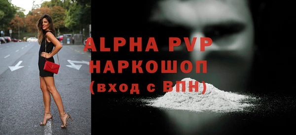 спиды Верея