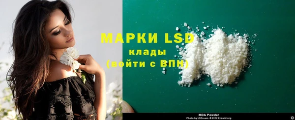спиды Верея