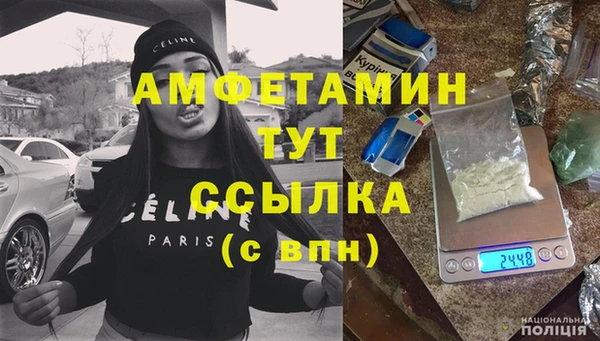 мдпв Инта