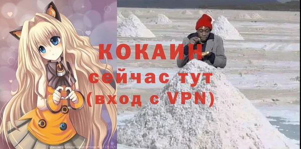 шишки Верхний Тагил