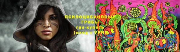 дурь Волосово