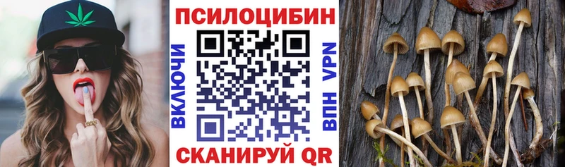 закладка MEGA ссылка Псилоцибиновые грибы MAGIC MUSHROOMS Гаврилов-Ям